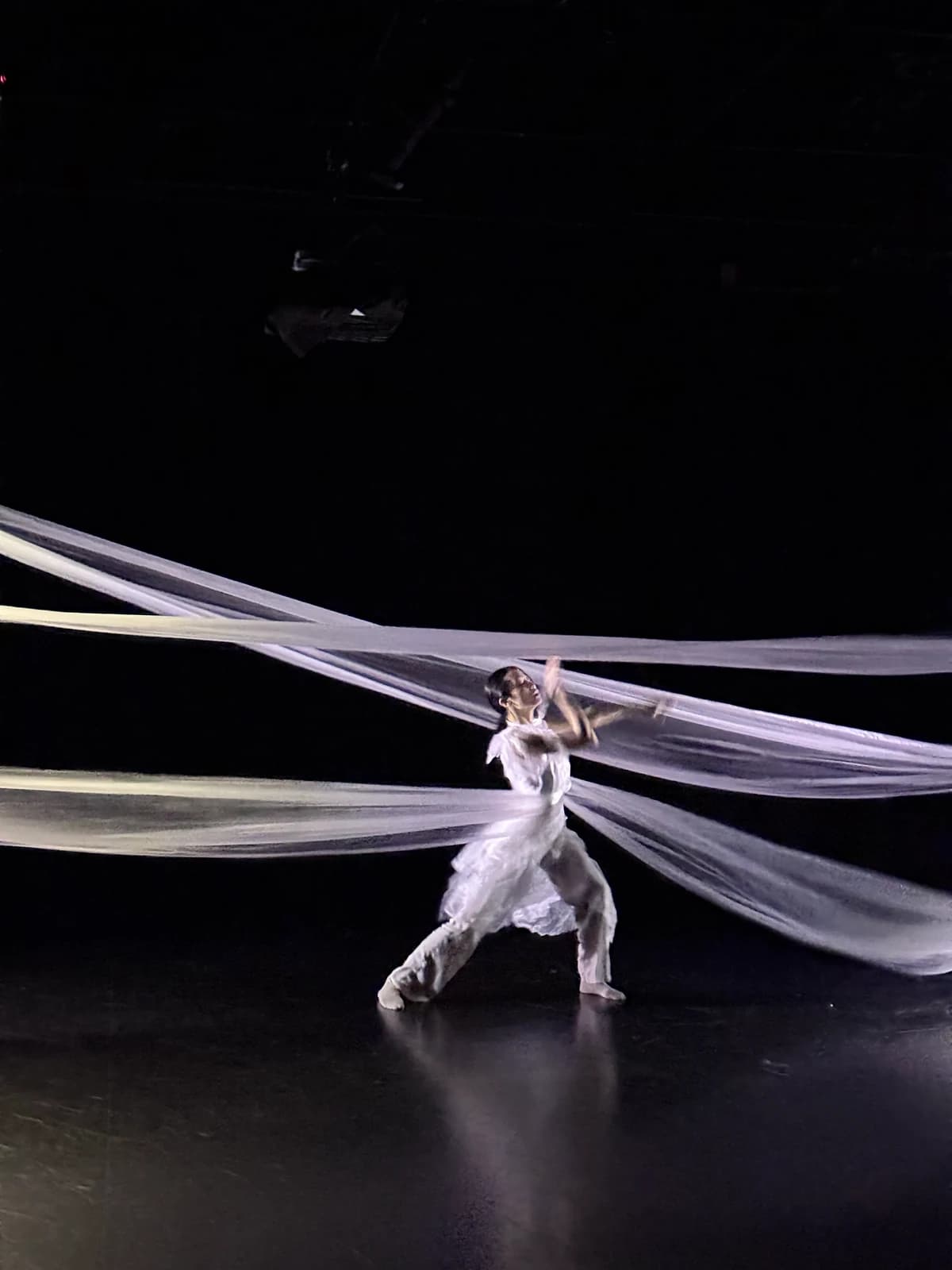 In cold white light, a dancer in pale clothing lunges with both arms lifted among translucent bands stretched across the stage.