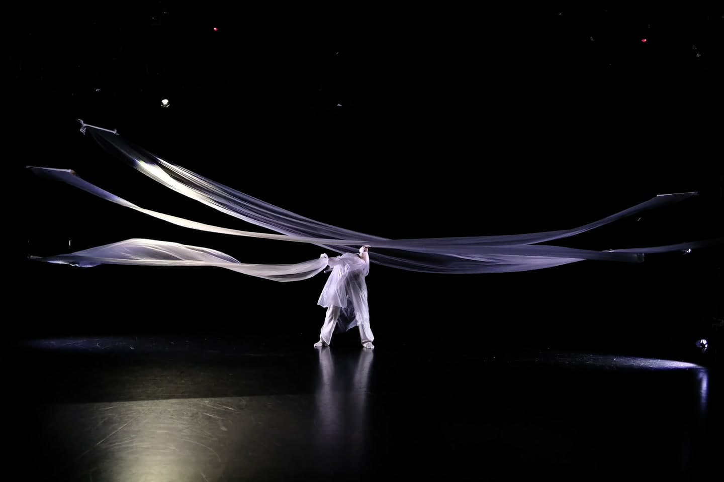 On a dark stage, a performer in pale clothing reaches up into long white translucent bands stretched wide across the space, reflected in the floor.